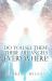 Do You See Them? There Are Angels Everywhere!