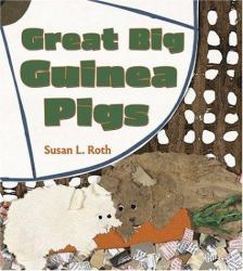 Great Big Guinea Pigs