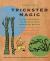 Trickster Magic : Tap into the Energy and Power of These Irresistible Rascals
