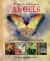 44 Ways to Talk to Your Angels : Connect with the Angels' Love and Healing