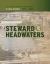 Steward of Headwaters : U. S. Army Corps of Engineers, St. Paul District, 1975-2000