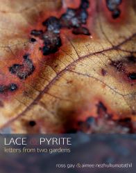 Lace and Pyrite
