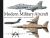 Modern Military Aircraft