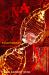 DNA X : Evolutionary Damage