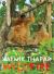 Wild Fire : The Splendours of India's Animal Kingdom