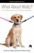 What about Wally? Co-Parenting a Pet with Your Ex