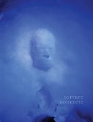 Torture Concrete : Jean-Luc Moulene and the Protocol of Abstraction
