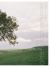 Green Documentary : Environmental Documentary in the 21st Century