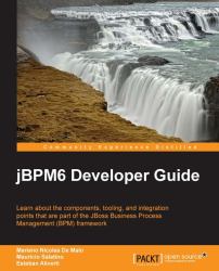 JBPM6 Developer Guide