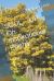 SOUL - up on Inspirational Poetry : Meditation for a Peaceful Mind SOUL - up on Inspirational Poetry : Meditation for a Peaceful Mind