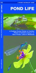 Pond Life : A Folding Pocket Guide to Familiar Plants and Animals Living in or near Ponds, Lakes and Wetlands