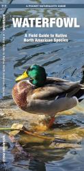 Waterfowl : A Field Guide to Native North American Species
