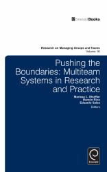 Pushing the Boundaries : Multiteam Systems in Research and Practice
