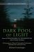 Dark Pool of Light, Volume Two : Consciousness in Psychospiritual and Psychic Ranges