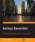 Node. Js Essentials