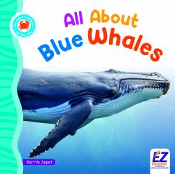 All About Blue Whales