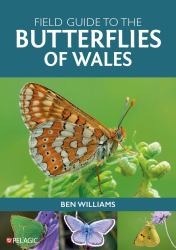 Field Guide to the Butterflies of Wales