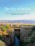 The City of Balkh : The History, Archaeology, and Culture of a Great Islamicate Capital in Afghanistan 7th to 13th Century CE