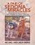 A Pair of Sedona Miracles : Life As Seen by Sam and Athena a Pair of Hybrids in a Land of Conformity