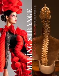 Making Strange : Gagawaka + Postmortem by Vivan Sundaram