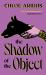 The Shadow of the Object