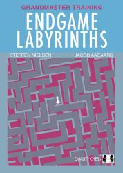 Endgame Labyrinths