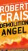 Demolition Angel : A Novel