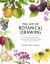 The Joy of Botanical Drawing : A Step-By-Step Guide to Drawing and Painting Flowers, Leaves, Fruit, and More The Joy of Botanical Drawing : A Step-By-Step Guide to Drawing and Painting Flowers, Leaves, Fruit, and More