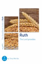 Ruth: the Lord Provides : Seven Studies for Groups and Individuals