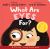 What Are Eyes for? Board Book : A Lift-The-Flap Board Book