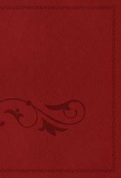 NCV Mom's Bible : God's Wisdom for Mothers