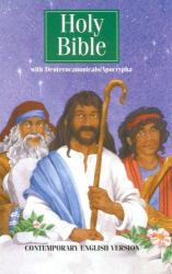 Childrens Illustrated Bible Wi