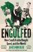Engulfed : How Saudi Arabia Bought Sport, and the World