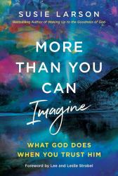 More Than You Can Imagine : Seeing What God Sees in You and Living Loved