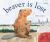 Beaver Is Lost