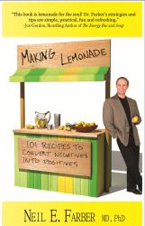 Making Lemonade : 101 Recipes to Convert Negatives into Positives