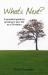 What's Next : A practical guide to growing in your life as a Christian