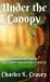 Under the Canopy : Stories of God's All-Encompassing Grace