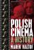 Polish Cinema : A History