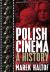 Polish Cinema : A History
