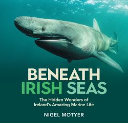 Beneath Irish Seas : The Hidden Wonders of Ireland's Amazing Marine Life