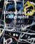Abstraction and Calligraphy : Towards a Universal Language