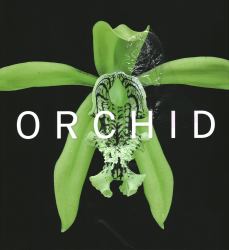 Orchid : Marie Selby Botanical Gardens