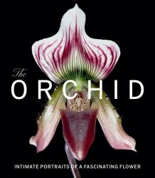 The Orchid : Intimate Portraits of a Fascinating Flower