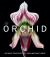 The Orchid : Intimate Portraits of a Fascinating Flower