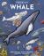 Inside Out Whale : Discover the World's Biggest, Smartest Swimmers
