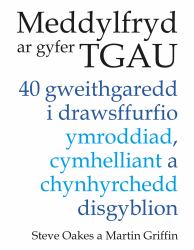 Meddylfryd Ar Gyfer TGAU : 40 Gweithgaredd I Drawsffurfio Ymroddiad, Cymhelliant a Chynhyrchedd Disgyblion