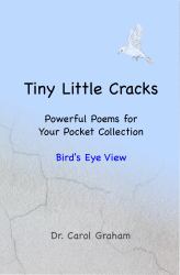 Tiny Little Cracks: Powerful Poems for Your Pocket Collection: Bird's Eye View