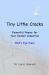 Tiny Little Cracks: Powerful Poems for Your Pocket Collection: Bird's Eye View