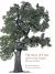 The Story of Trees : And How They Changed the Way We Live